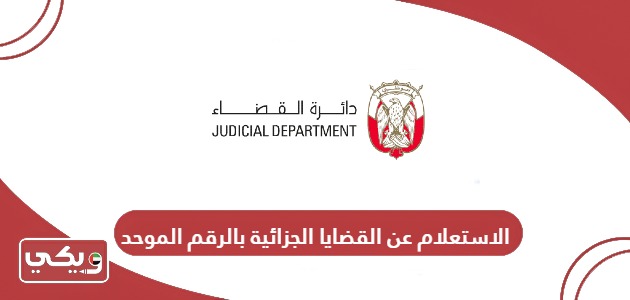 الاستعلام عن القضايا الجزائية بالرقم الموحد في الإمارات