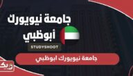 جامعة نيويورك ابوظبي؛ التخصصات وشروط القبول