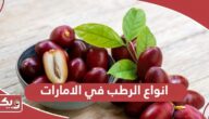 ما هي انواع الرطب في الامارات